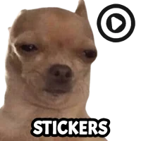 Stickers Memes WAStickerApps